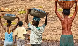 Imagem da notícia Municípios têm até 9 de dezembro para adesão ao Programa Nacional de Erradicação do Trabalho Infantil